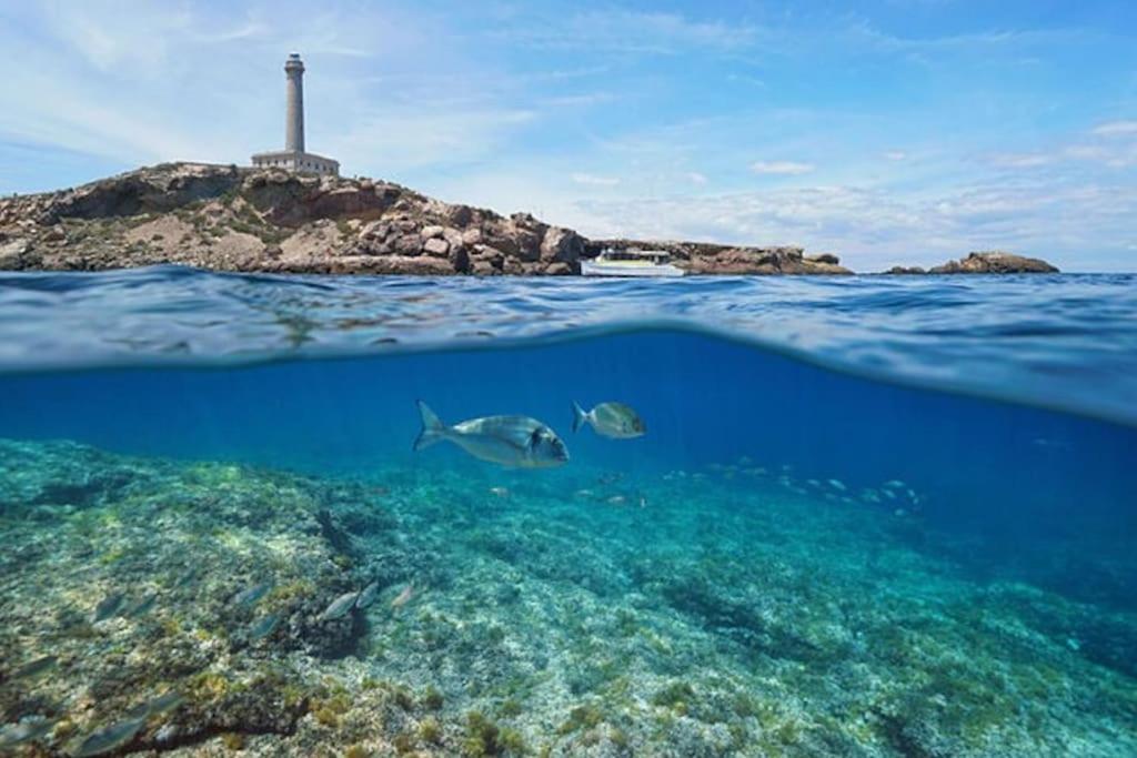 Apartamento Primera Linea La Manga ภายนอก รูปภาพ